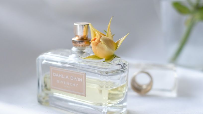 Best Smelling City Perfume Picks You Should Try