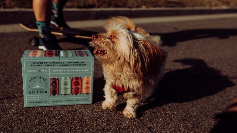 5 Best Wayfair's Top-Rated Products for Spoiled Fur Babies